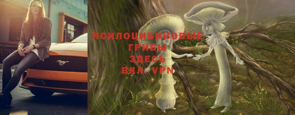 шишки Богданович