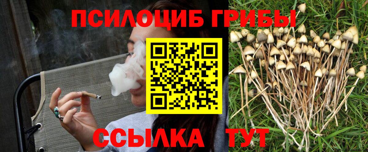 Псилоцибиновые грибы GOLDEN TEACHER  купить наркотик  Ульяновск  Вход с VPN 